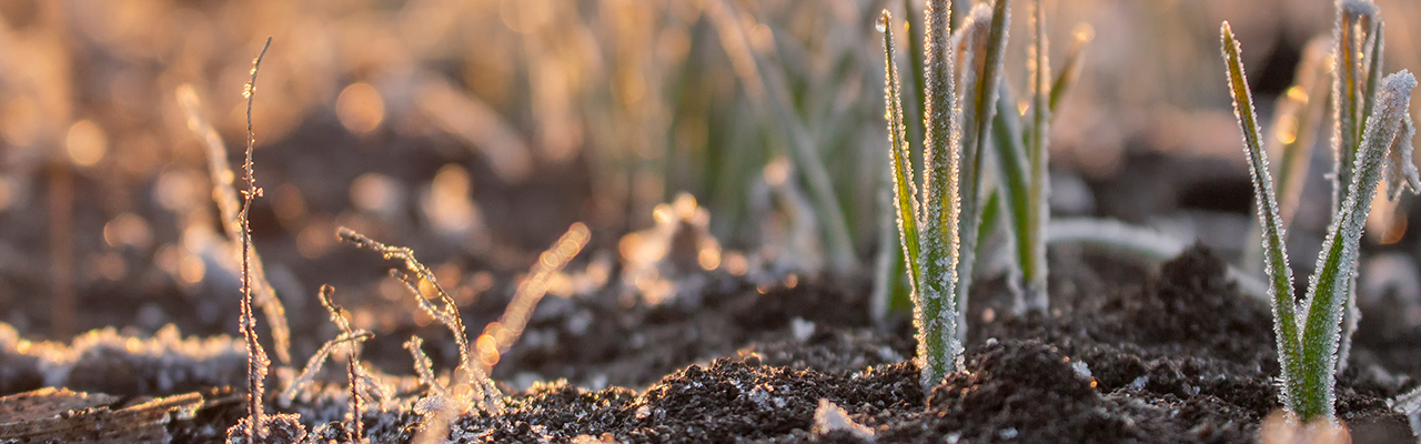 Climate And Agricultural Conditions October 2021 Shutterstock 1928901785